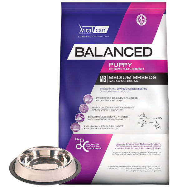 Imagen de Balanced cachorro raza mediana 20kg