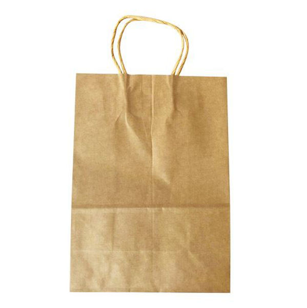 Imagen de Bolsa de papel con asa, grande, PACK x12
