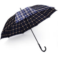 Imagen de Paraguas largo, 8 varillas, automático, varios diseños
