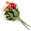 Imagen de Ramo de 10 rosas mini matizadas PACKx2, varios colores