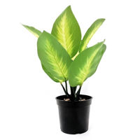 sisvendfotoshf0302jpg