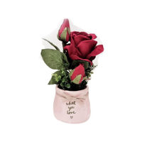 sisvendfotoshf0304jpg