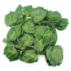 Imagen de Planta enredadera 36 hojas, PACK x12