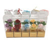 Imagen de Flor en caja de PVC, varios colores