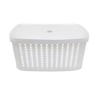 Imagen de Caja organizadora de plástico con tapa, varios colores de tapa