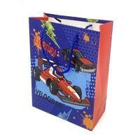 Imagen de Bolsa de regalo PACK x12, varios diseños