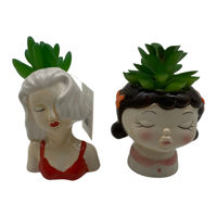 Imagen de Planta cactus suculenta, varios diseños