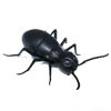 Imagen de Insecto con movimiento, infrarrojo, en caja