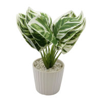 Imagen de Planta con hojas verdes, maceta de cerámica