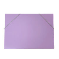 Imagen de Carpeta A4 de PVC con elástico, varios colores PACKx12