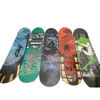 Imagen de Skate de madera grande, varios diseños