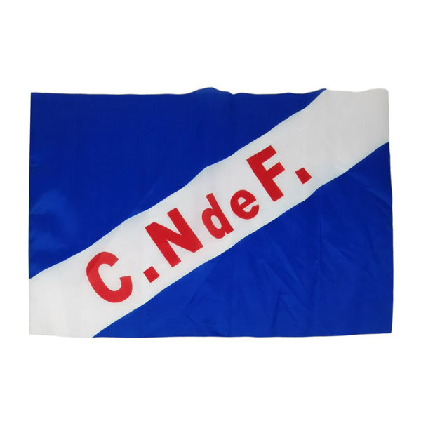 Imagen de Bandera común grande, NC