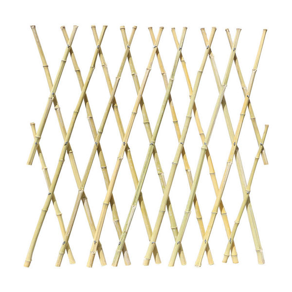 Imagen de Cerco extensible de bambú