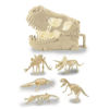 Imagen de Dinosaurio fósiles, valija cráneo, en caja 2 colores