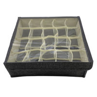 Imagen de Caja organizadora TNT, 20 divisiones, con visor