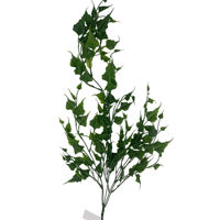 Imagen de Planta hojas verdes colgantes