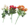 Imagen de Ramo de 10 rosas, PACK x2, varios colores