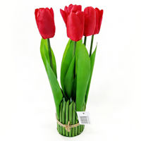 Imagen de Planta con flores de tulipanes, varios colores