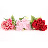 Imagen de Ramo de 5 rosas, PACK x2 varios colores