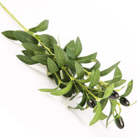 Imagen de Ramo de hojas verdes de olivo