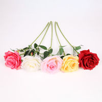 Imagen de Ramo de rosa individual, varios colores