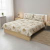 Imagen de Sábanas Queen size Berlina by Teka, con diseño, 158x198x30 250x220 50x70cm, set de 4 piezas 50% poliéster 50% algodón, 160 hilos, en sobre de PVC