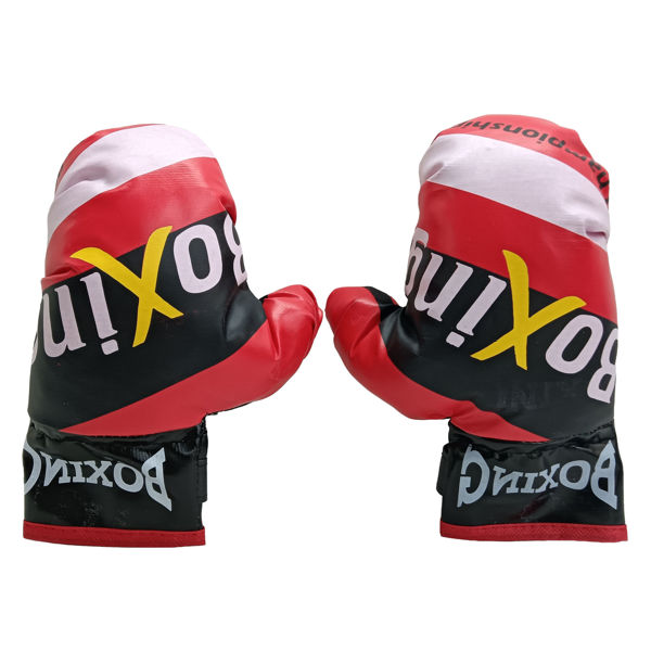 Imagen de Guantes de boxeo, en bolsa