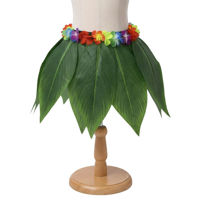Imagen de Disfraz pollera, hojas