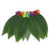 Imagen de Disfraz pollera, hojas