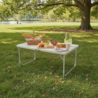 Imagen de Mesa de aluminio plegable, con asa en caja