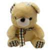Imagen de Peluche oso, varios colores