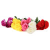 Imagen de Ramo de 5 claveles, PACKx2 varios colores