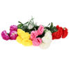 Imagen de Ramo de 5 claveles, PACKx2 varios colores