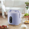 Imagen de Olla arrocera eléctrica 5L, 900W, WINNING STAR, con cuchara arrocera y taza medidora, en caja