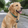 Imagen de Localizador GPS inteligente, HOCO, en caja