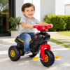 Imagen de Moto triciclo a pedal, NEGRO