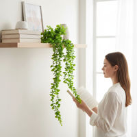 Imagen de Planta enredadera guía de plástico, PACK x2