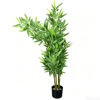 Imagen de Planta de hojas verdes de bambú, con maceta